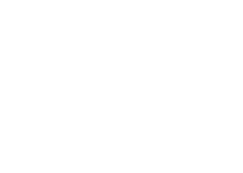 THE WOW! BRANDS